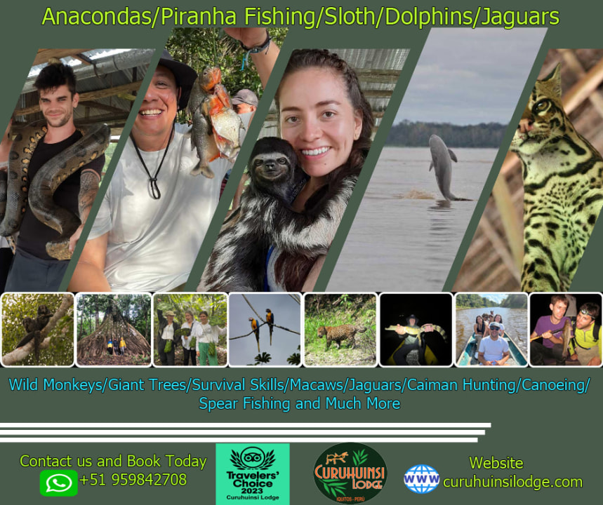 The meeting point of the Amazon, Marañón, and Ucayali Rivers, pink river dolphins, Monkey Island, Pacaya Samiria National Reserve