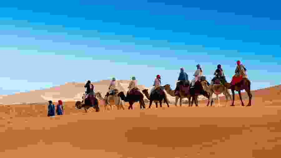 Camel Ride in Erg Chebbi Desert