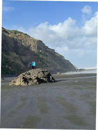 blog