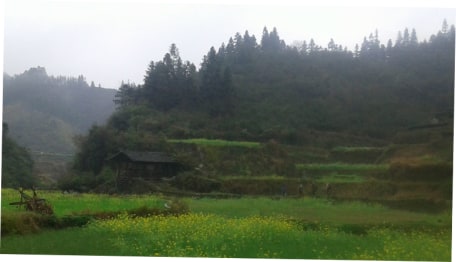blog