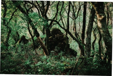 blog