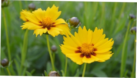 blog