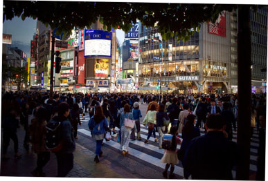 blog