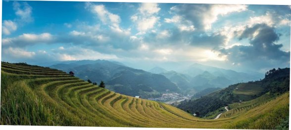 blog
