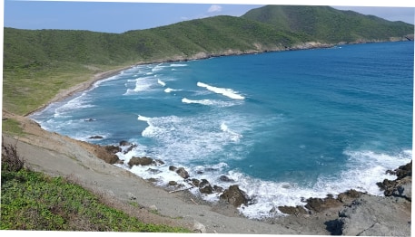 blog