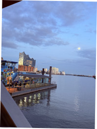 blog