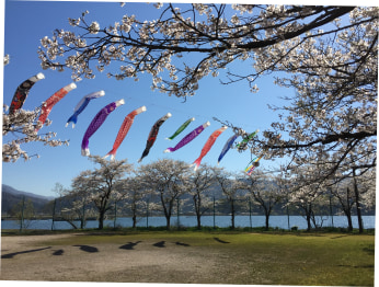 blog