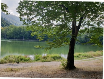 blog