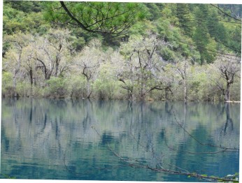 blog