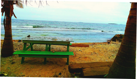blog