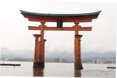 blog