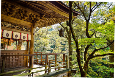 blog