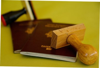 blog