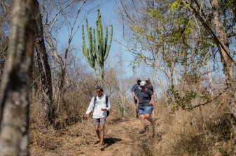 5-Hour Blue Agave Trail Hike from Mazatlán with Distillery Tasting
