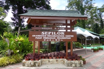3-Day Sabah Wildlife Tour with Sepilok and Kinabatangan River
