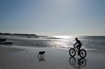 5-Hour Cape Town to Bloubergstrand Cycling Tour by the Beach
