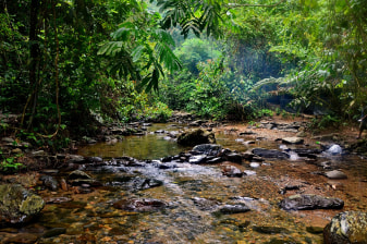 2-Day Jungle Trek in Bukit Lawang with Camping and River Rafting