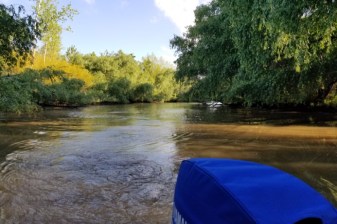 7-Hour Tigre Delta Boat Tour from Buenos Aires with San Isidro
