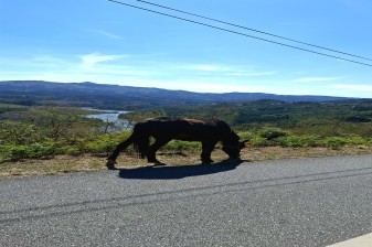 8-Hour Peneda-Gerês National Park Tour with Lindoso and Soajo