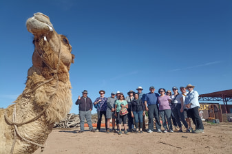 8-Day Western Sahara Tour from Agadir to Dakhla