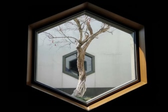 8-Hour Suzhou Gardens Tour with I.M. Pei Museum and Ancient Gates
