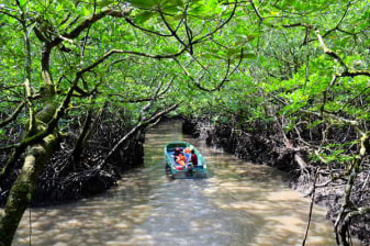 10-Hour Baratang Island Tour from Port Blair with Limestone Caves