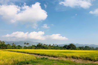 6-Hour Balik Pulau Penang Tour with Hidden River and Sunset