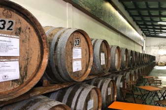 8-Hour Wine Tour of Pico Island with UNESCO Vineyard Heritage