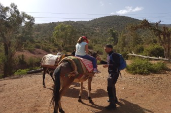 1-Day Ouirgane Valley Trek from Marrakech with Berber Family Lunch