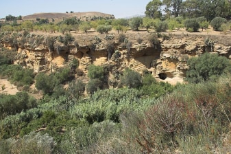 3-Hour Agrigento Valley of the Temples Walking Tour with Kolymbetra