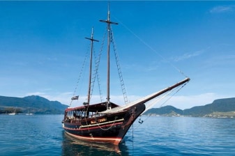 Guanabara Bay Cruise Half-Day Tour in Rio de Janeiro with Transfer