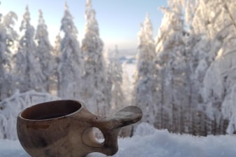 2 hour Hillside Snowmobile safari