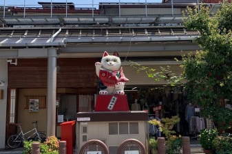 Takayama: Edo-Period Old Town Walking Tour (70 Minutes)