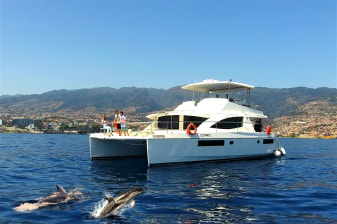 VipDolphins All Inclusive Dolphin and Whale Watching