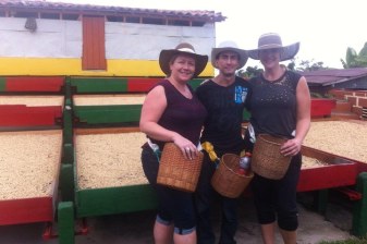 Medellín: 3 Days Colonial Coffee Trail