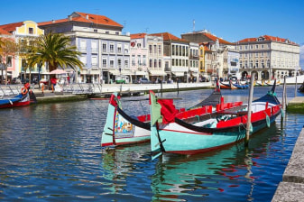 Aveiro and Costa Nova with Moliceiro Cruise Half Day PRIVATE