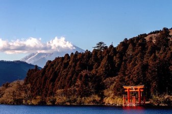 Private Hakone Tour View of Mt. Fuji, Nature and Culture