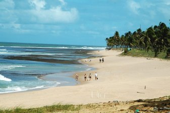 Praia Do Forte & Guarajuba Beach Day Trip