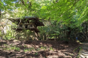 Private Nara Heart of Nature Bike Tour