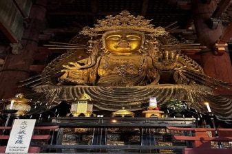Nara Day Tour Adventure with the Perfect Guide