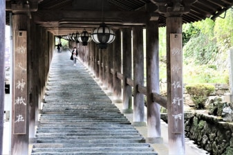Nara City Half Day Walking Tour Adventure