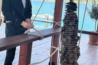 Private Pelješac Oyster Harvesting Experience by Boat