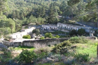 1-Day Nature Walk in Nicosia with Sourp Magar and Forest Flora