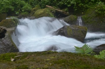 3-Day Marike Nature Tour from Medan with Rafting and Jungle Trekking