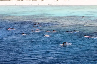 8 heures de snorkeling à Marsa Alam dans le Parc National de Hamata