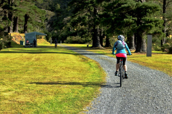 6-Hour Wellington Cycling Tour on the Remutaka Rail Trail