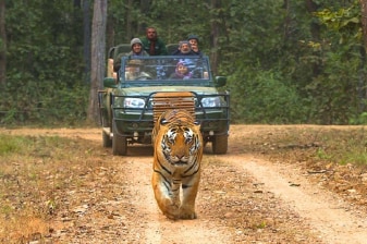 2-Day Kanha Photo Safari Tour with Exclusive Jeep Wildlife Shoots