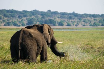 12-Day South Africa, Victoria Falls and Chobe Tour with Cape Winelands