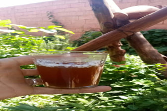 Full-Day Taroudant and Tiout Oasis Tour from Agadir with donkey ride