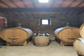 5-Hour Chianti Wine Tour from Florence with Greve and Poggio Amorelli